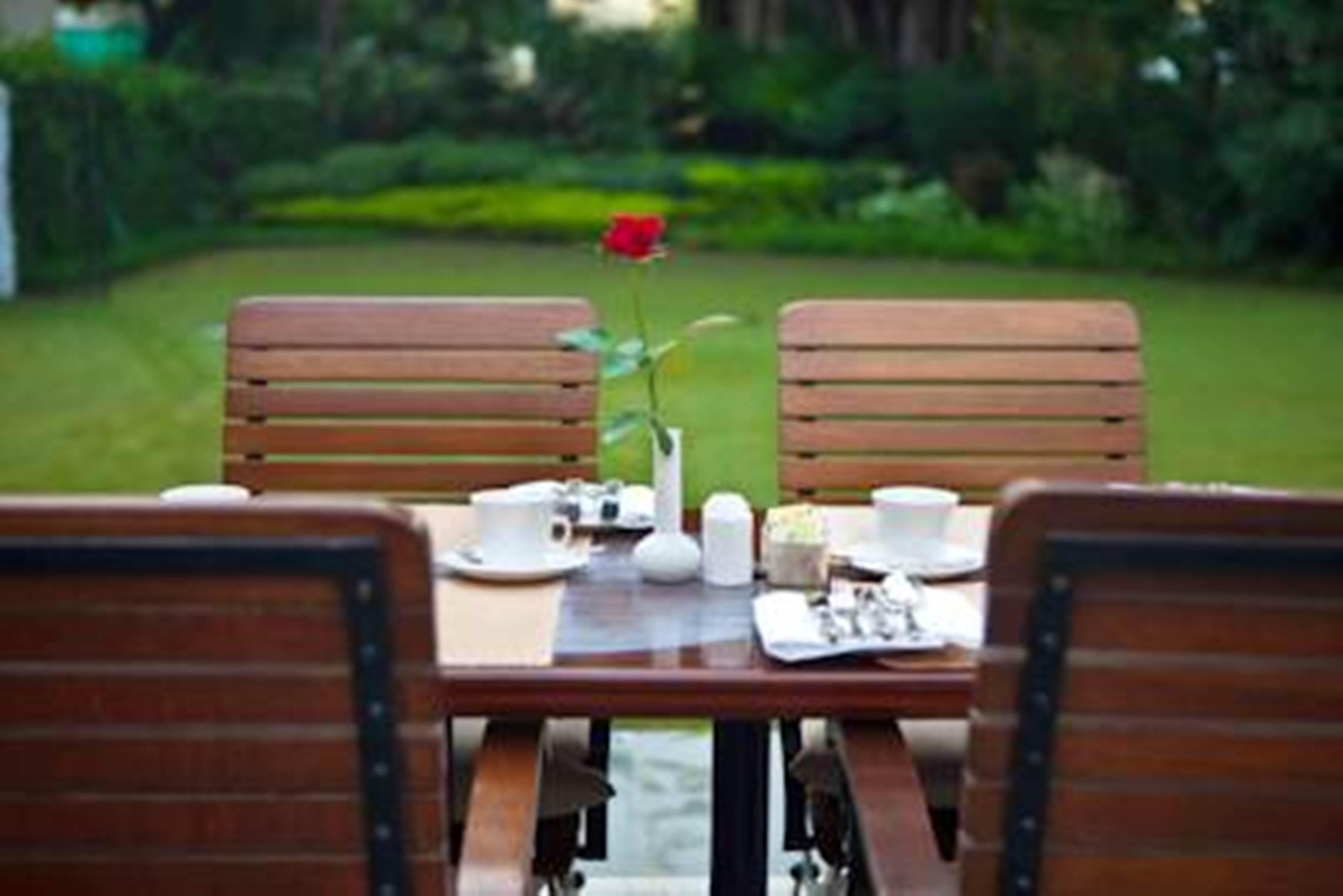 فندق ميدينز نيو دلهي نيودلهي المظهر الخارجي الصورة The lawn at the hotel
